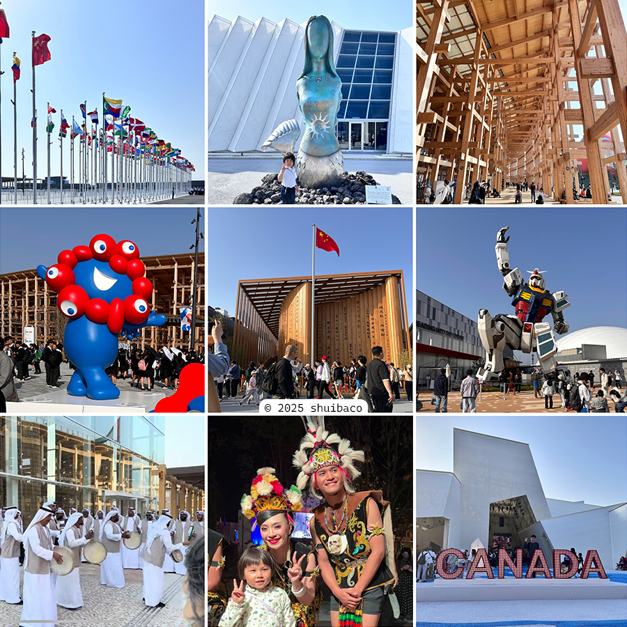 关西世博集锦一