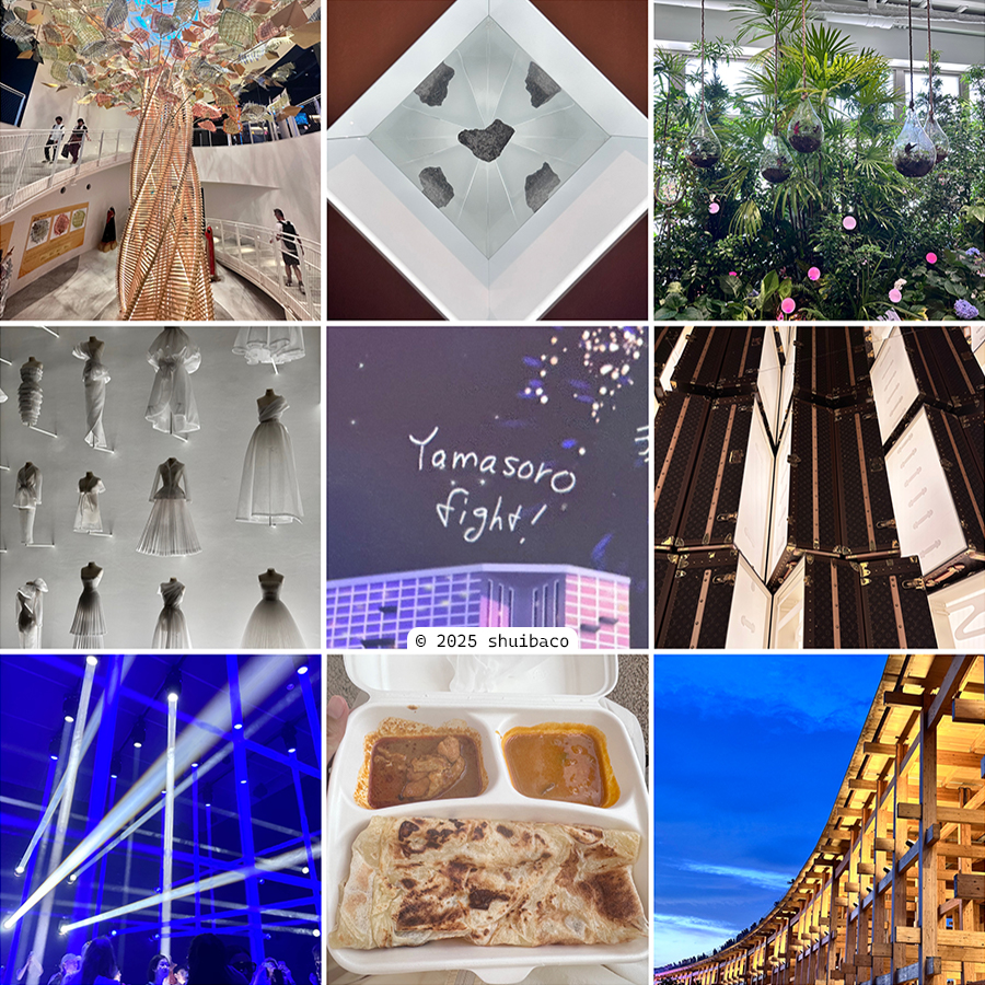 关西世博集锦二