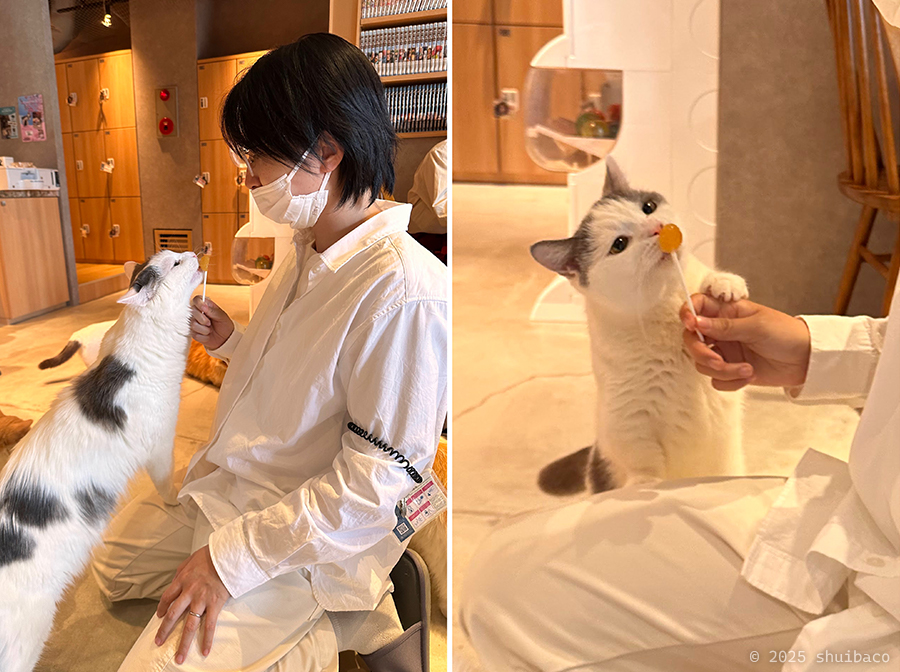 吃零食时清澈的小眼神