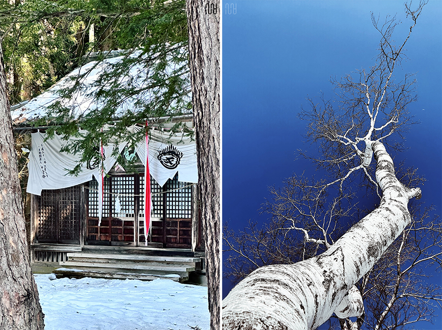 身兼数任的长野之旅