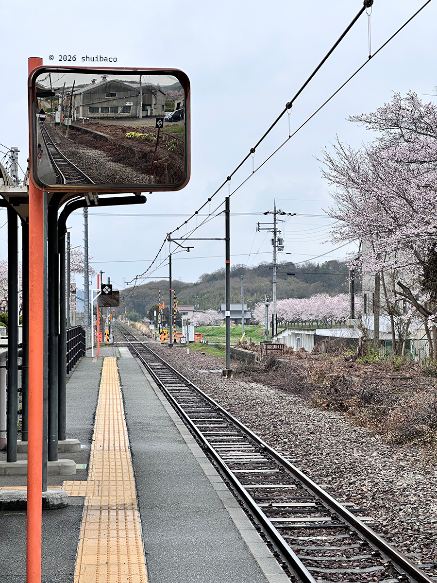 久违的本社之行